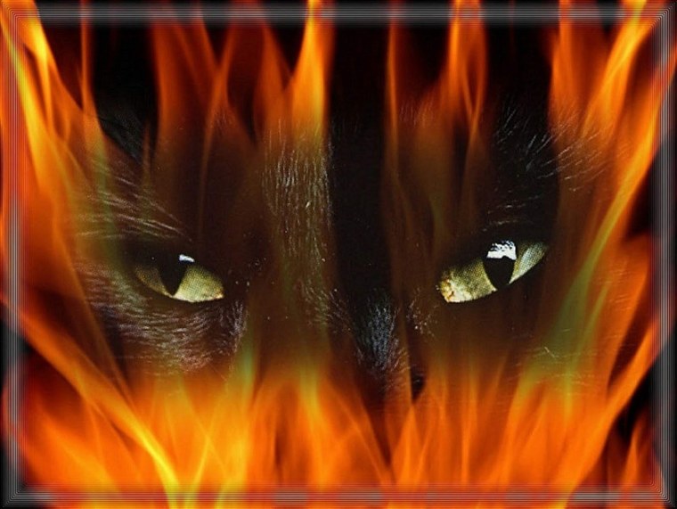 Красный Огненный тигр