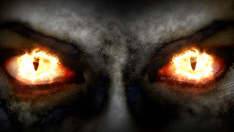 Ночная съемка животных