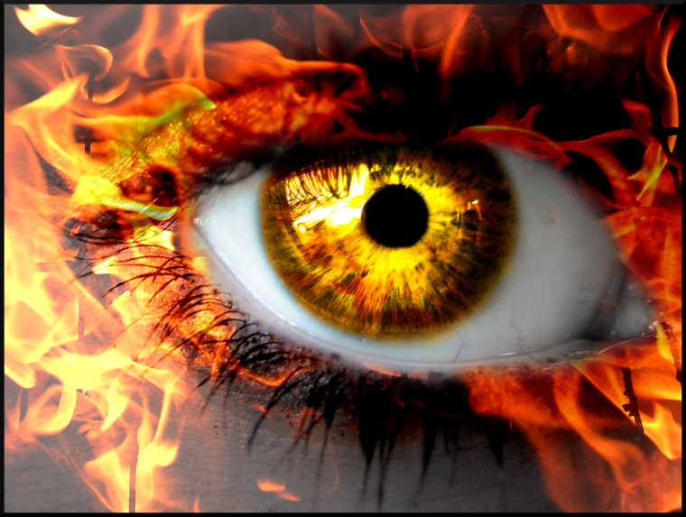 Хищники в лесу ночью