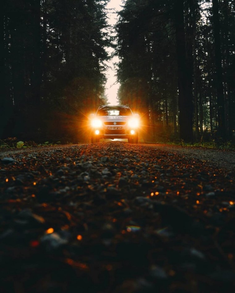 Машина на Лесной дороге