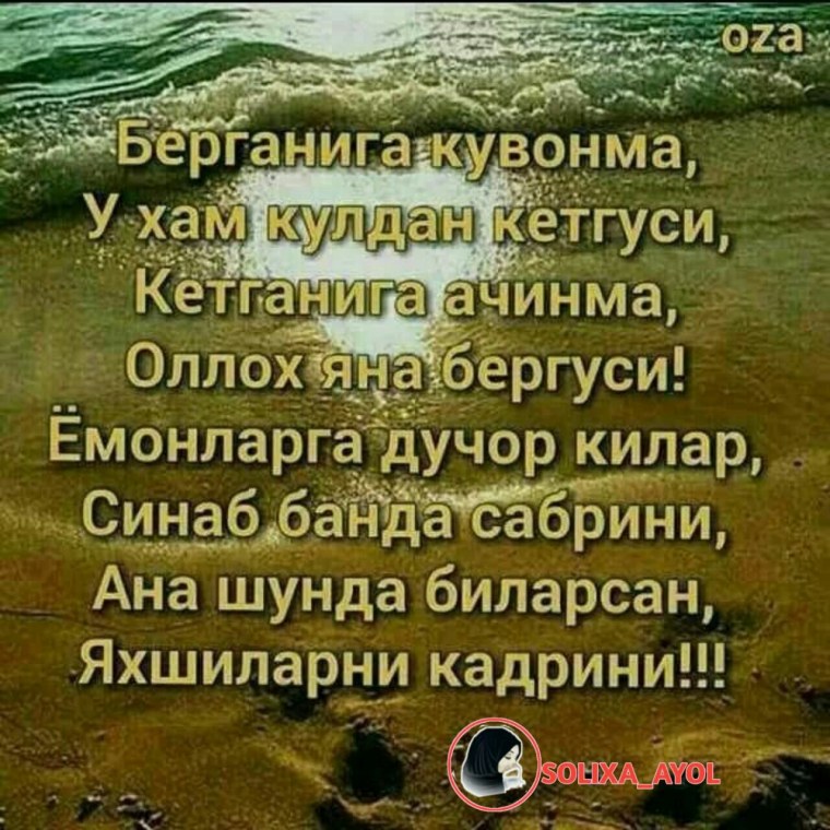 ХИКМАТЛИ шерлар