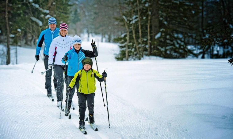 Лыжная прогулка в лесу