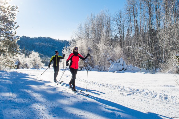 Лыжная прогулка в лесу