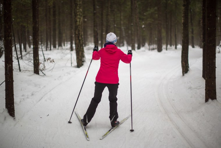 Беговые лыжи в лесу