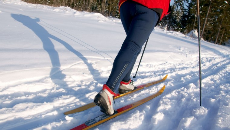 Школьники катаются на лыжах