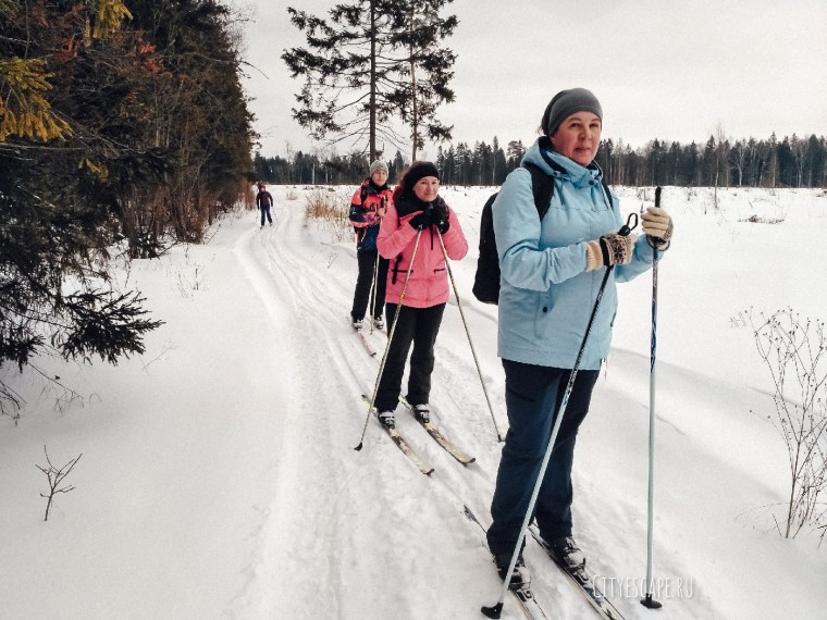 Семья на лыжной прогулке