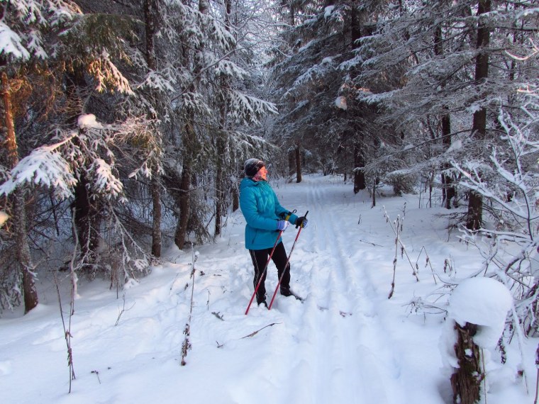 Катание на лыжах в лесу