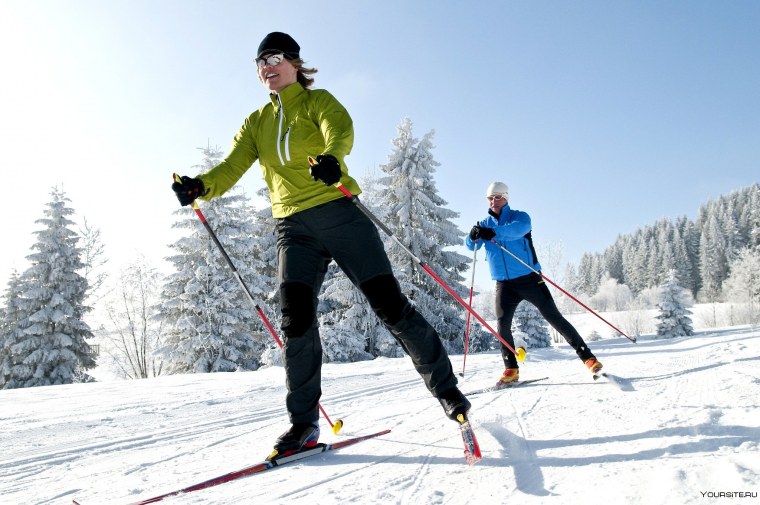 Лыжные прогулки по лесу