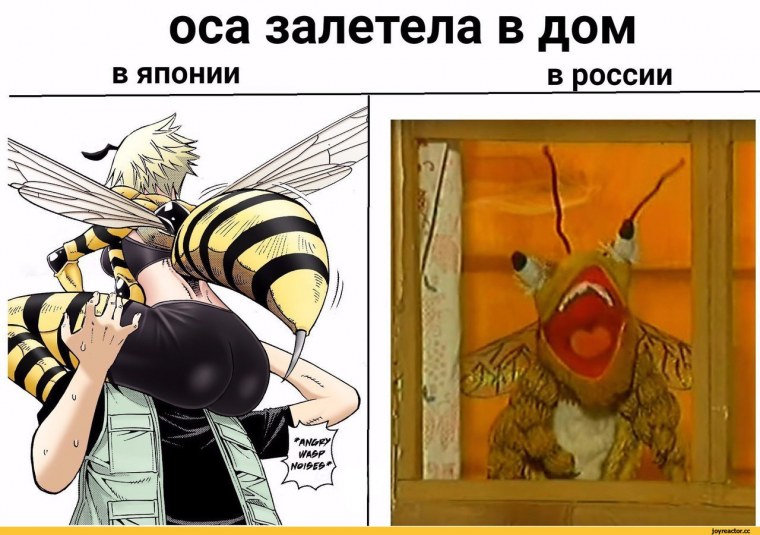 Залетела Оса