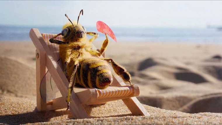 Пчелка на отдыхе