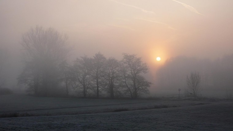 Туманный день