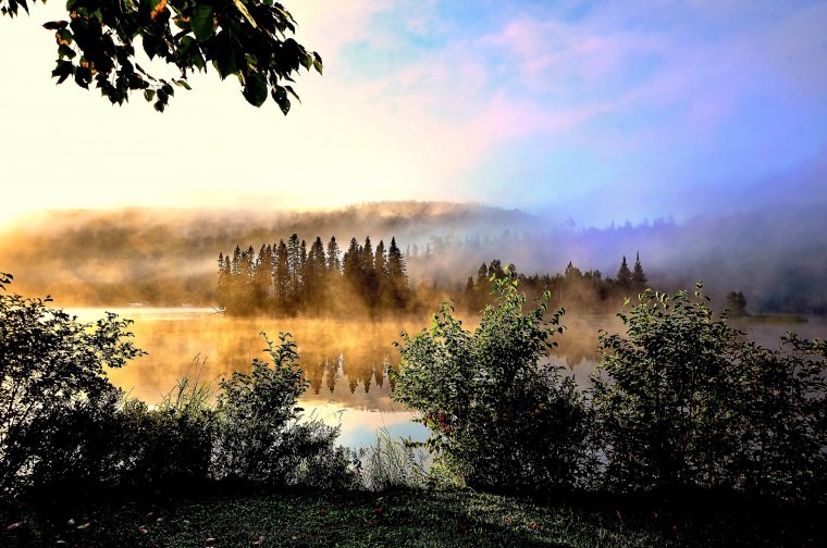 Туманный пейзаж