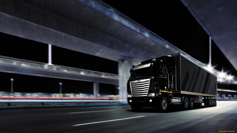 Черная фура