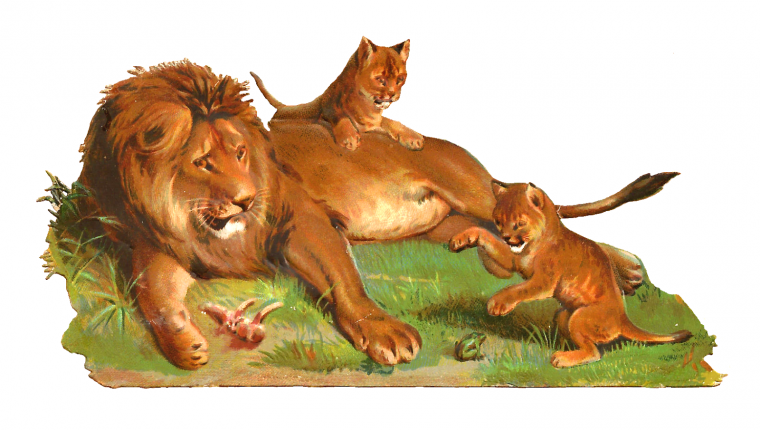 Лев клипарт