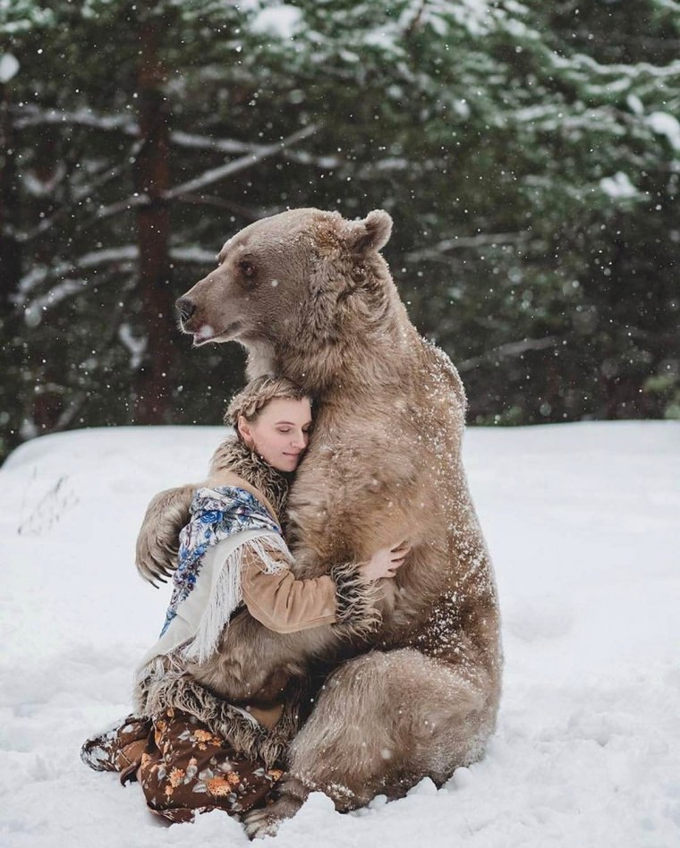 Медведи любовь