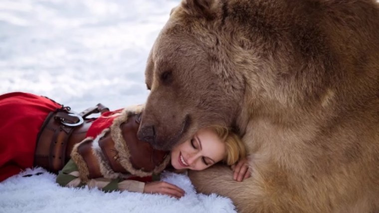 Медведь любовь арт