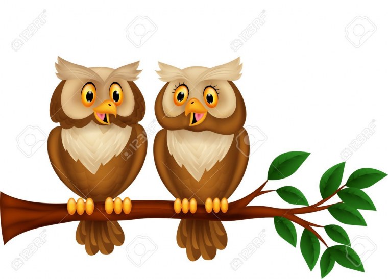 Совы на ветке мультяшные