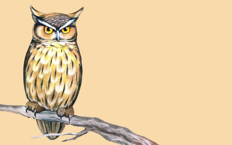 Филин рисунок