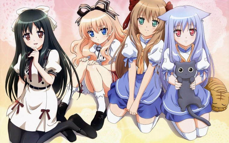 Нашествие бродячих кошек аниме