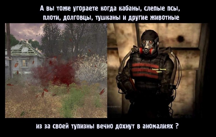 Сталкер мемы про долг и свободу