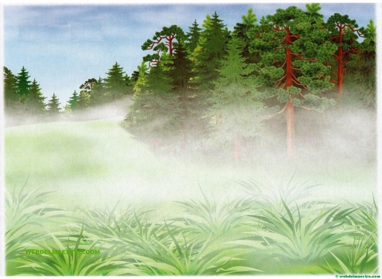 Природные явления для детей