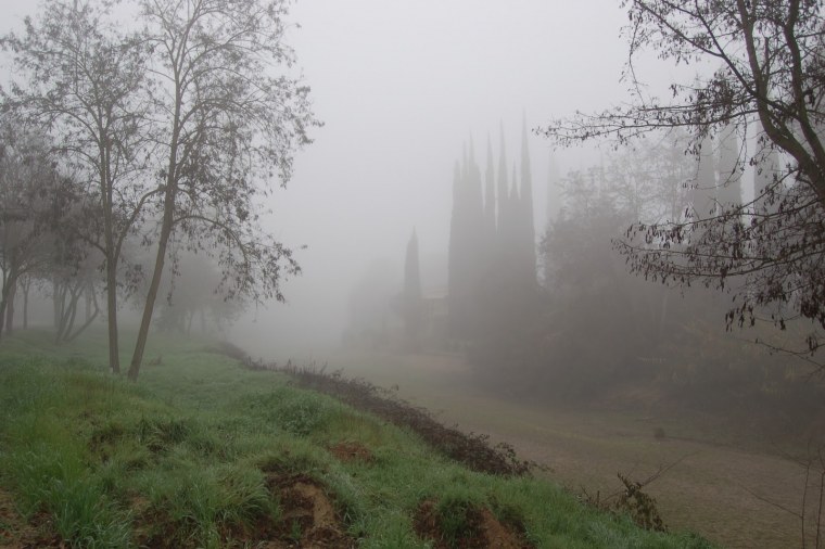 Туман на англ