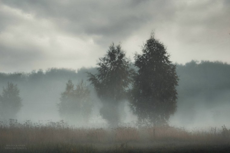 Прикольные фото туман