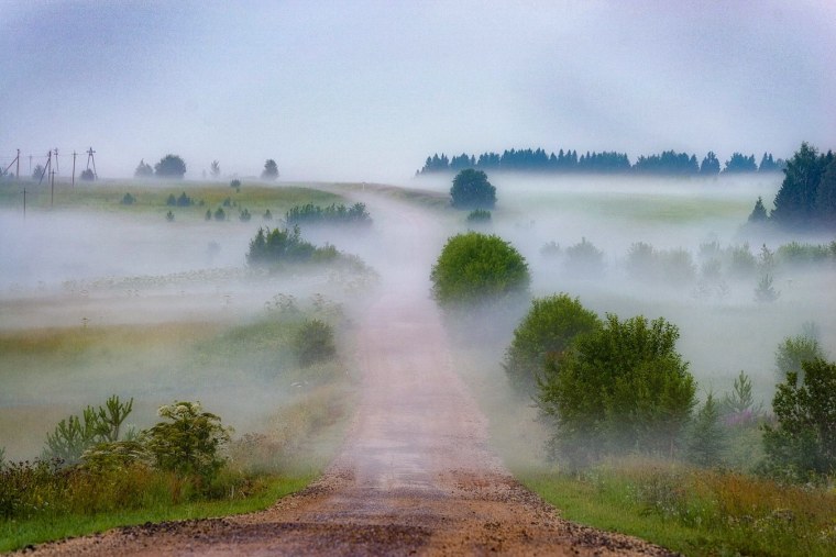 Туманное утро Кировская область