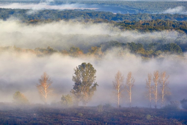 Природные явления туман