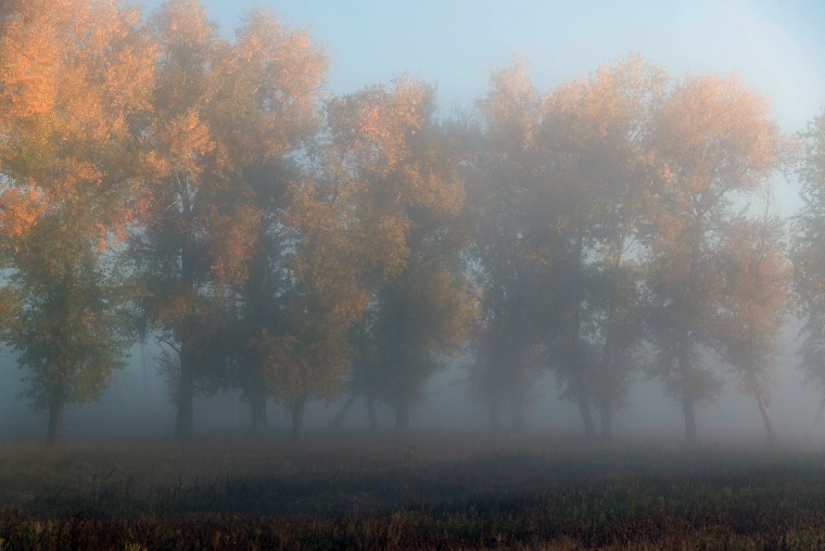 Туманное осеннее утро