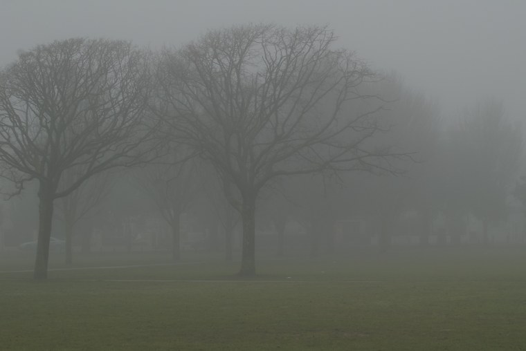 Туманно картинка для детей