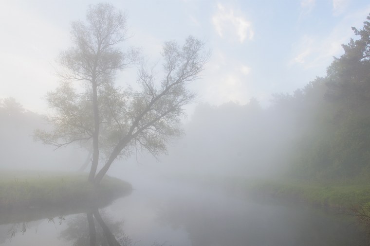 Туман в июне