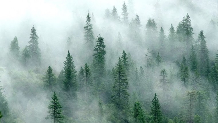 Туман иллюстрация