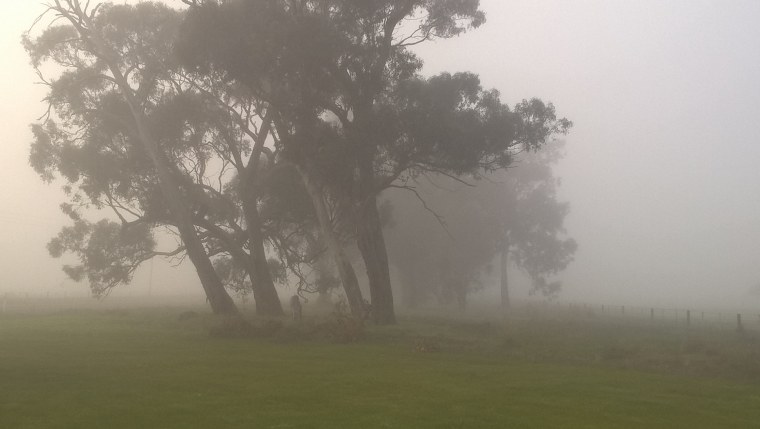 Мгла атмосферное явление