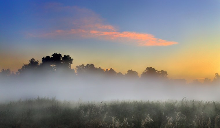 Туман картинки