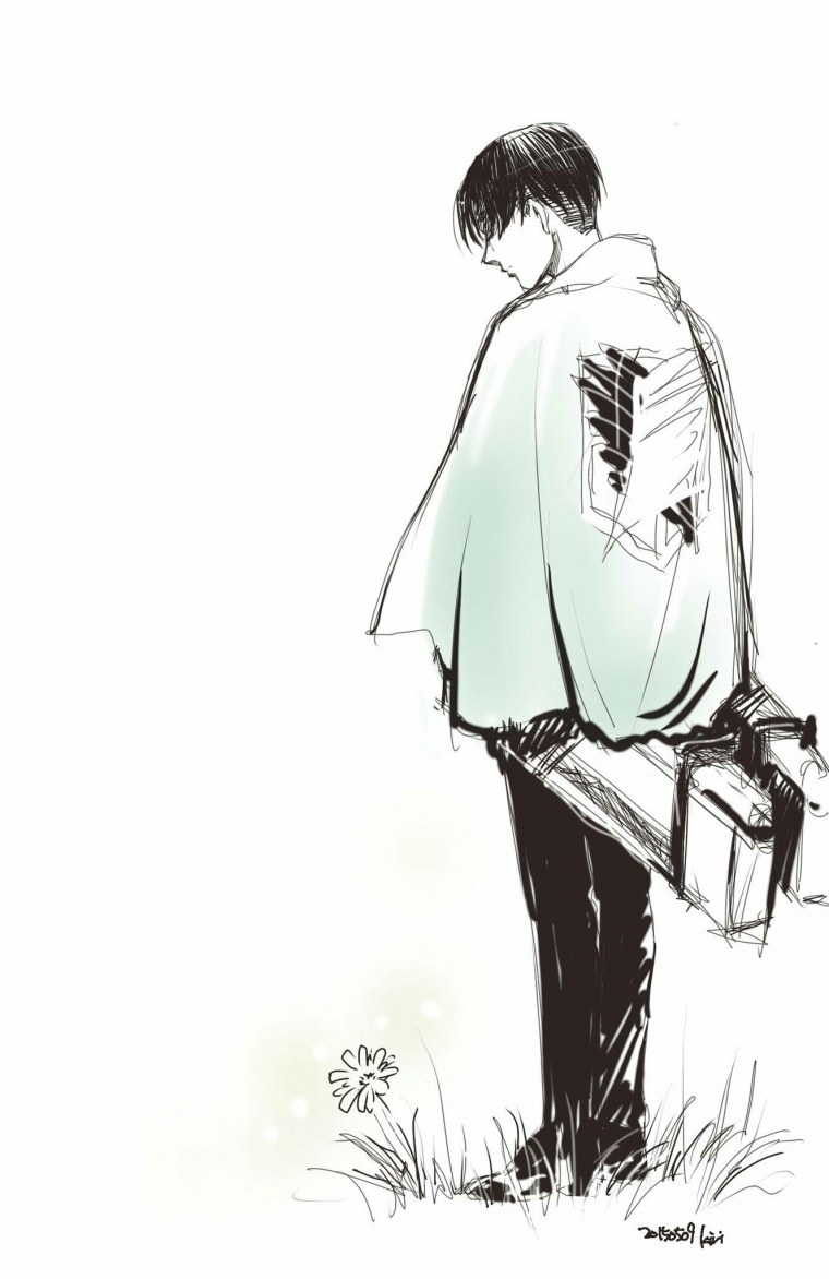 Леви Аккерман арт