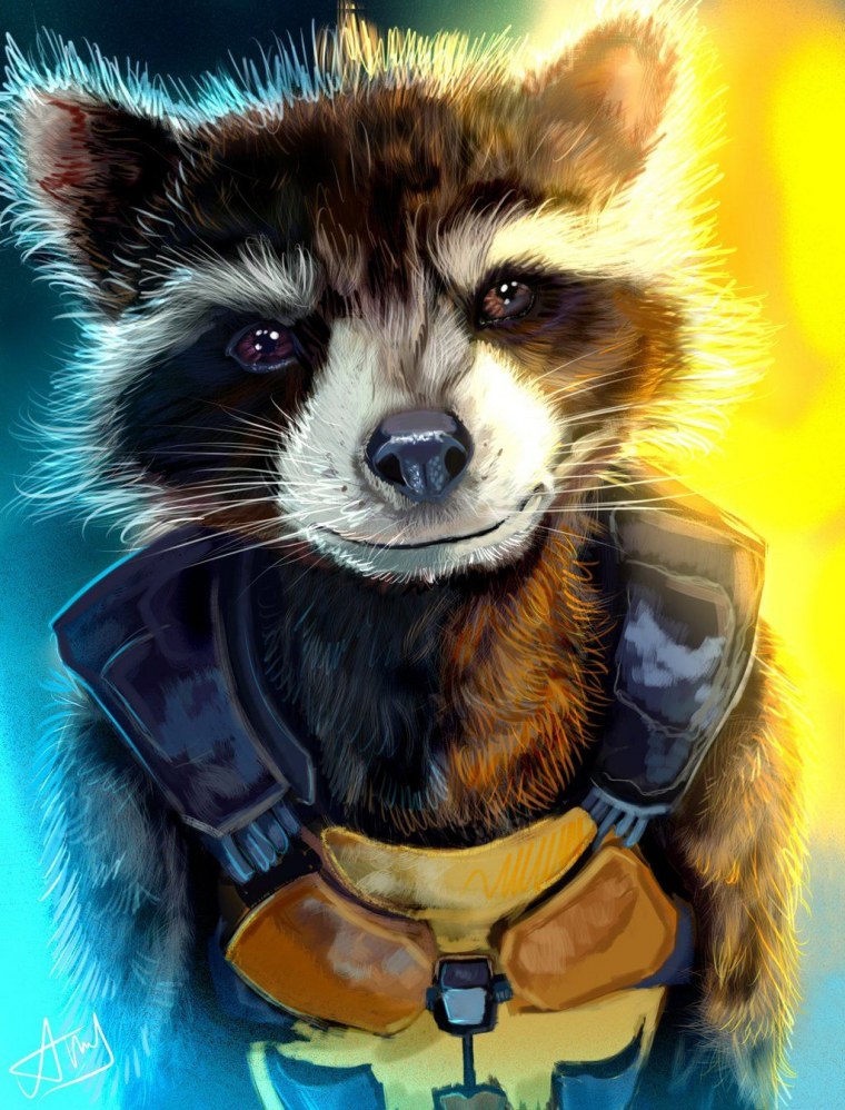 Енот ракета