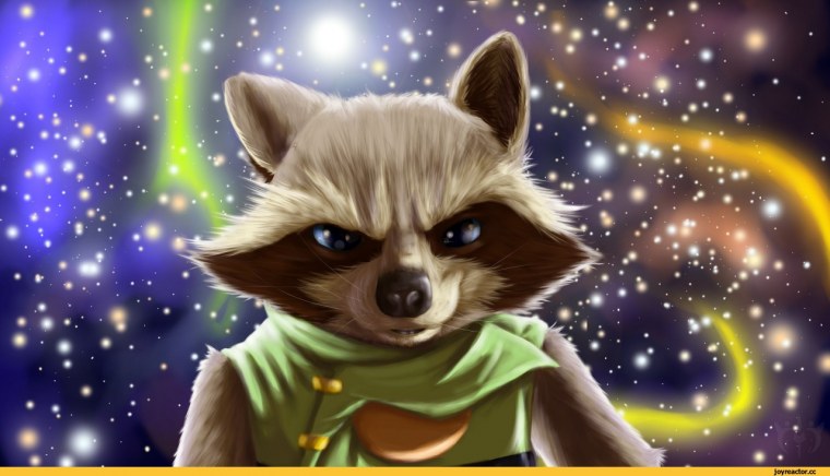 Реактивный енот арт