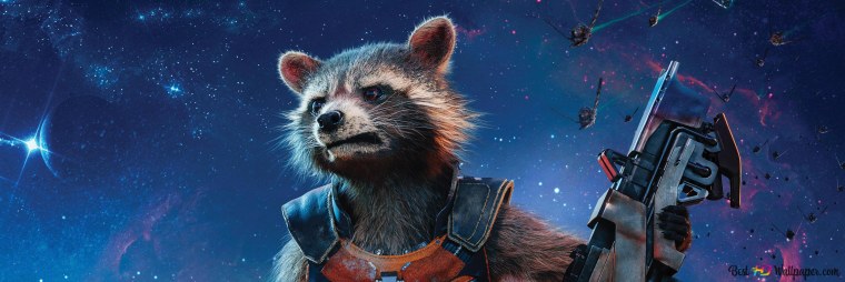 Енот ракета