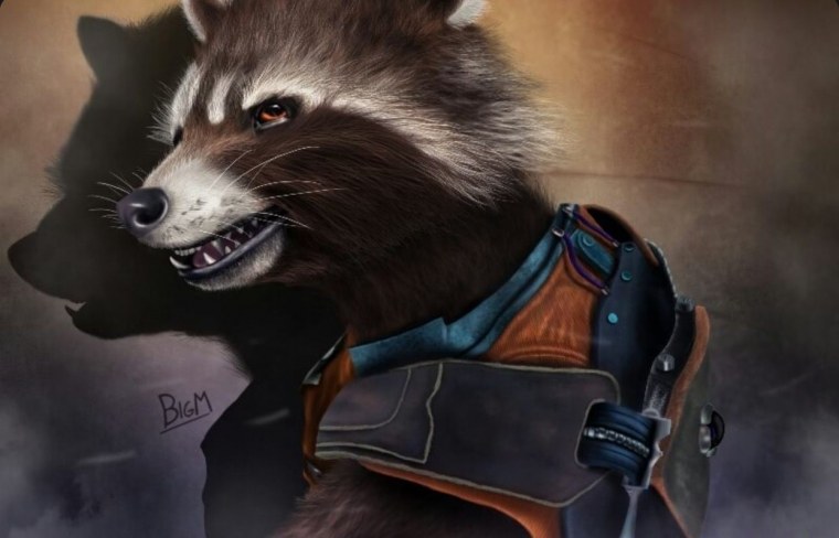 Енот ракета арт