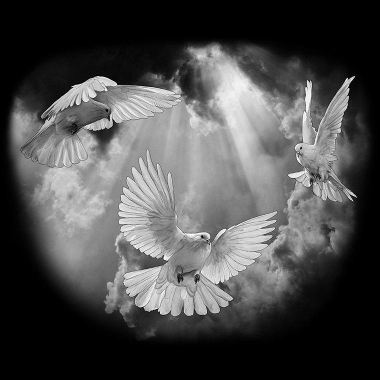 Голубь гравировка