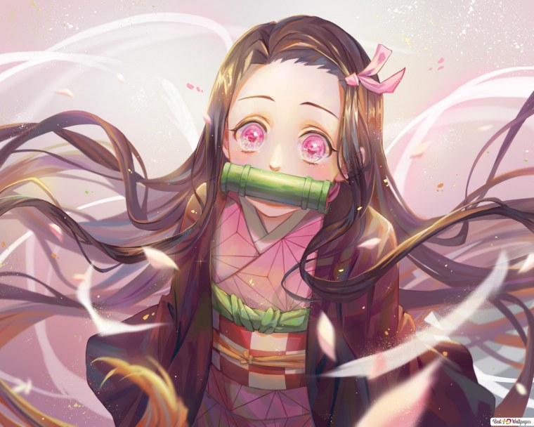 Demon Slayer nezuko Kamado