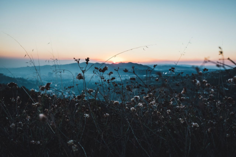 Август Эстетика