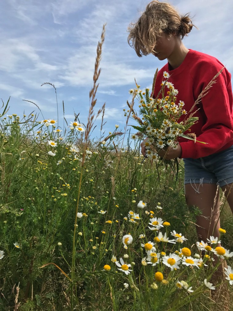 Летняя Эстетика