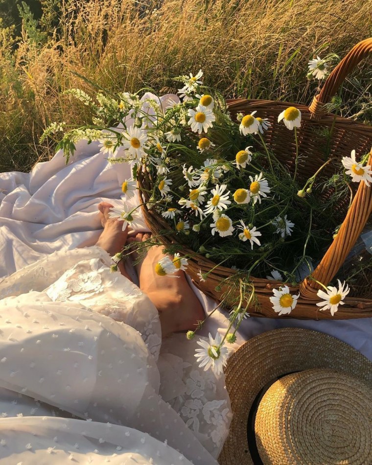 Ромашки Эстетика