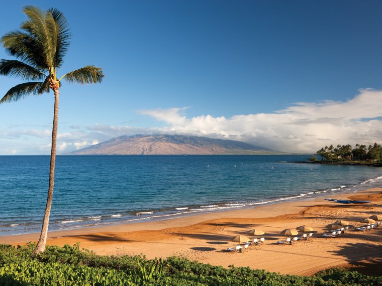 Мауи мультик