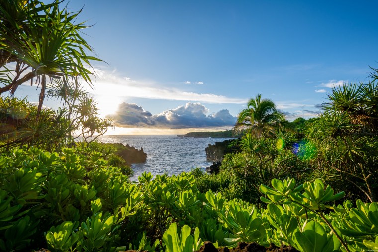 Дуэйн Джонсон Мауи Моана