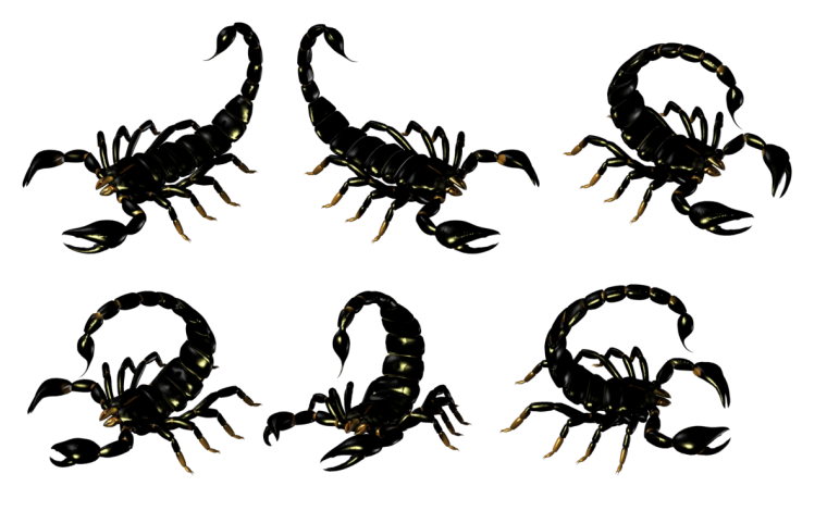 Стикеры Скорпион