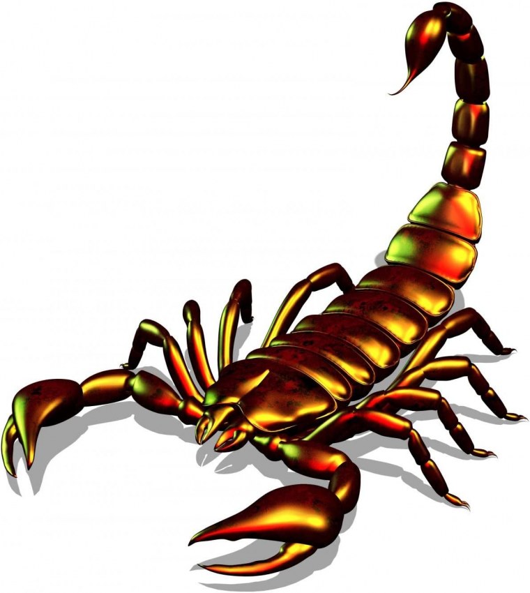 Скорпион красного цвета