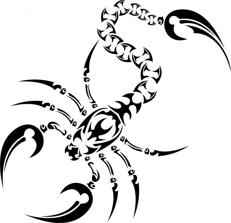 Скорпион тату эскиз